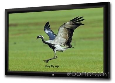 Проекционный экран SeeMax Highland frame MW 305x229 (4:3) (FH150VPM)